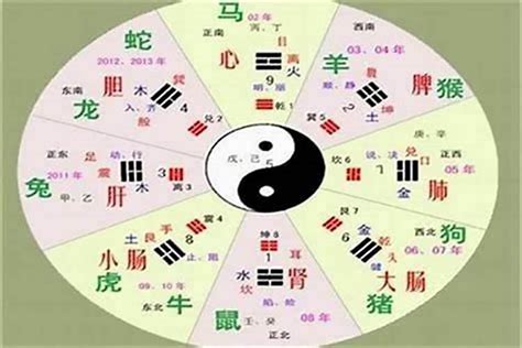 涵的五行|涵字五行属什么